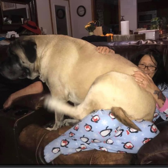 Meet your Posher, Lisa - Picture 5 of 8